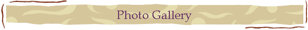 Photo Gallery